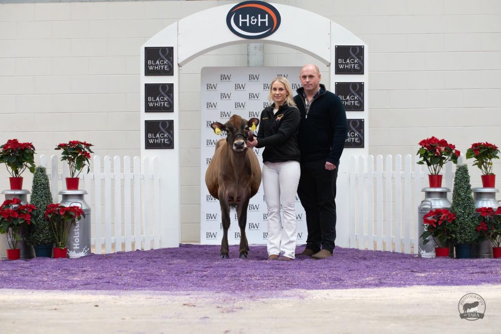 Rivermead Addiction Candice sold for 6,500gns