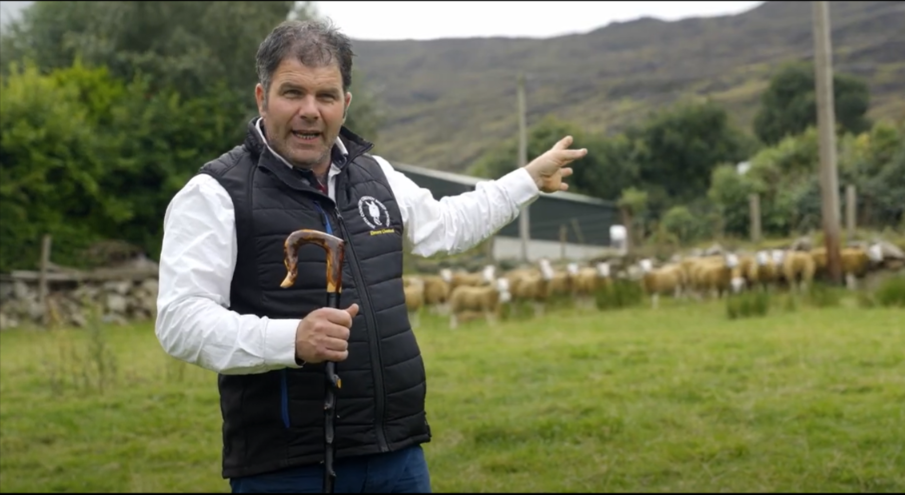 Thomas Elmore, Crossbrae Cheviots