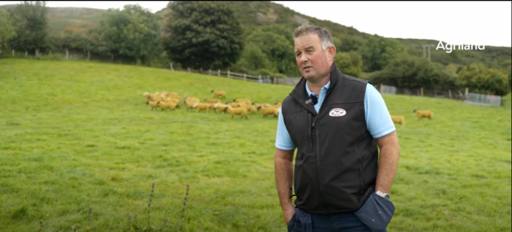 Gerry McEnaney, chairperson of the Cooley Sheep Breeders Association