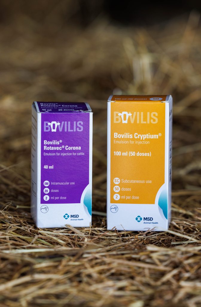 Bovilis Rotavec Corona and Bovilis Cryptium. Source: MSD