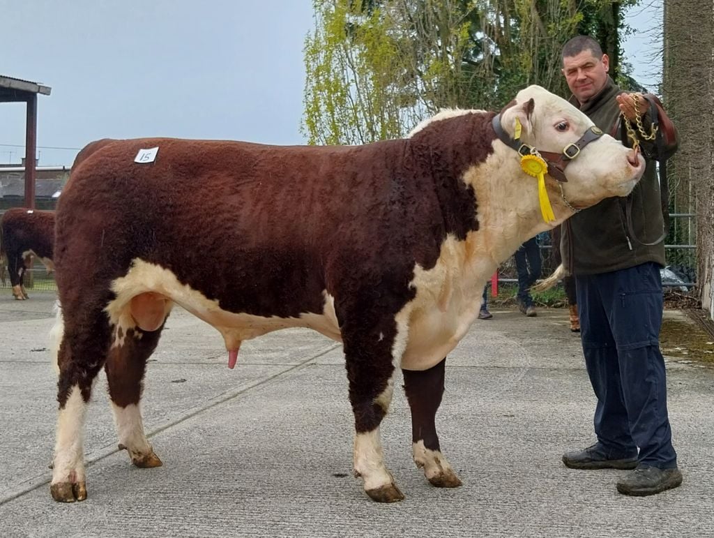 Firmoll Preston PP with breeder Paul Sammon