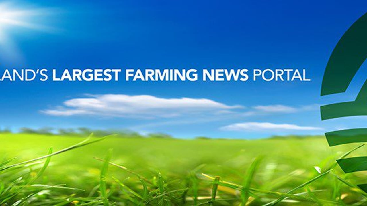 Government to consider landmark changes to the Fair Deal scheme in March
