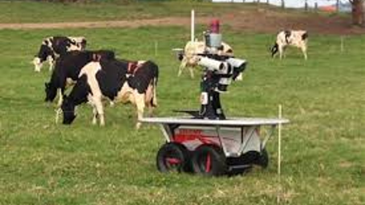 Robot Rover goes walkies