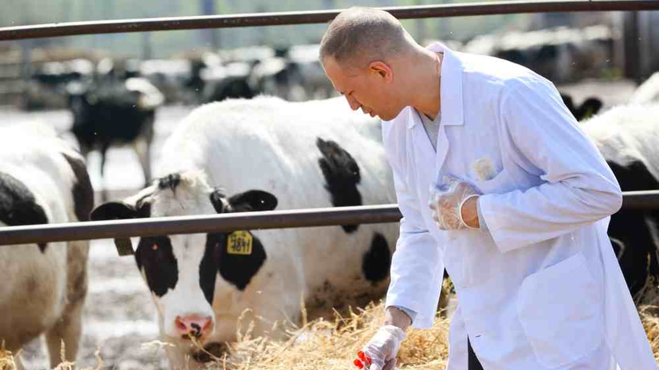 Free expert vet visits under new parasite control strategy