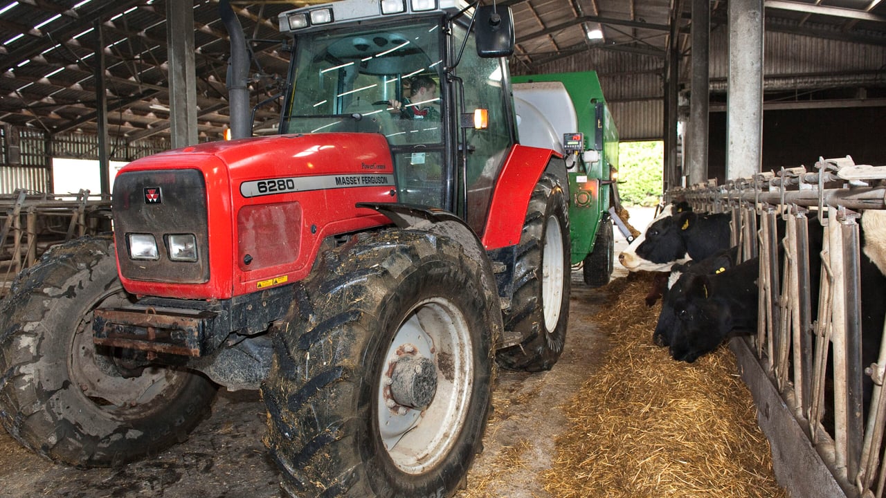 Dairy advice: Easing the Christmas day workload