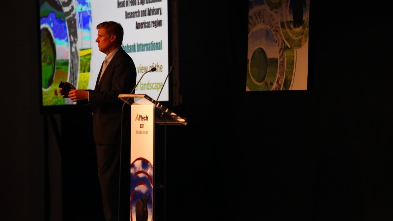 'International dairy sector must deliver on traceability'