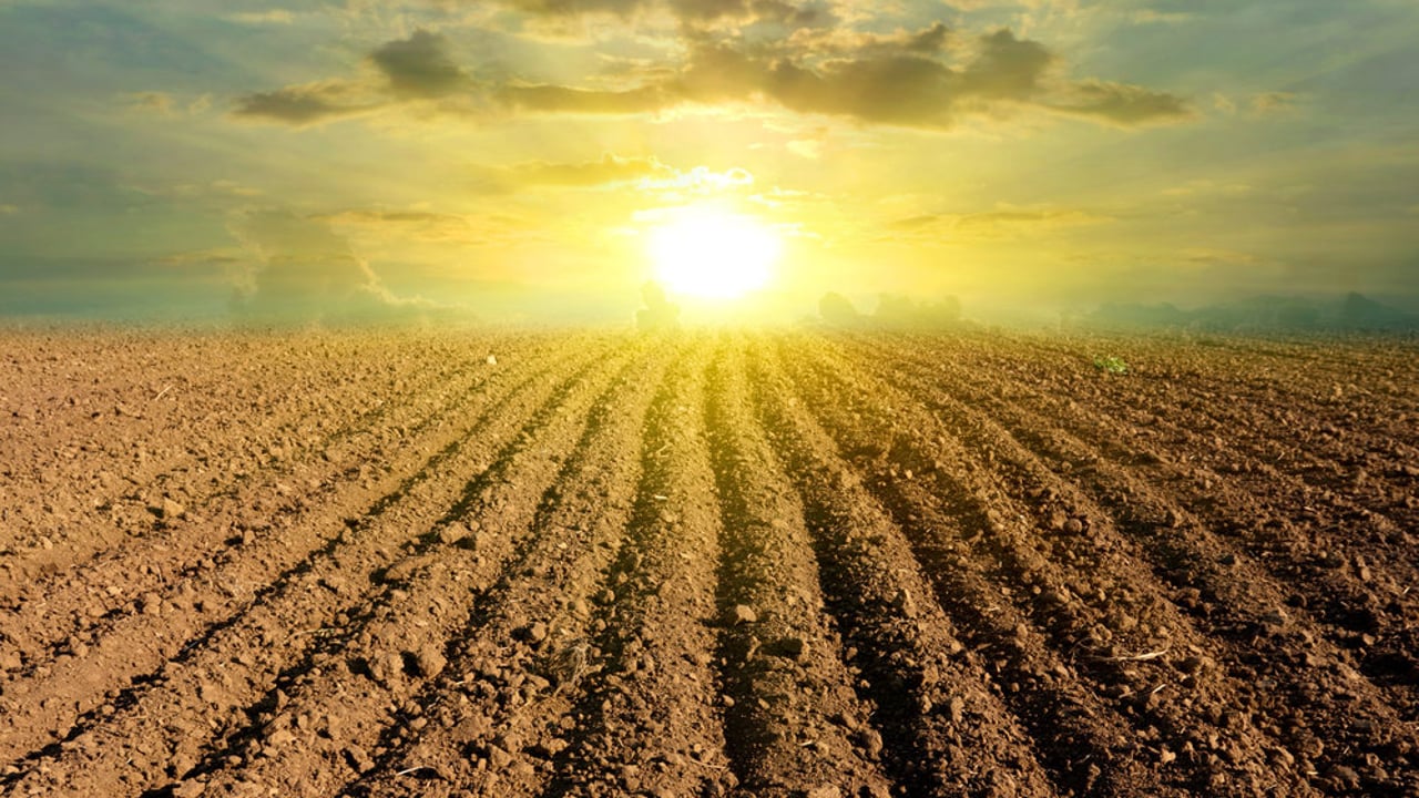 Convergence could render some tillage farms non-viable