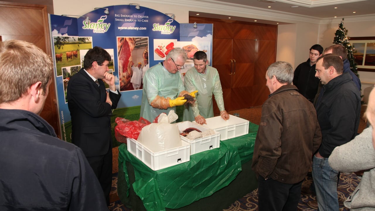 Pictured: Frank O'Sullivan, Vet Irl, and Shane McGuckin, Vet Irl at Slaney Foods beef seminar.