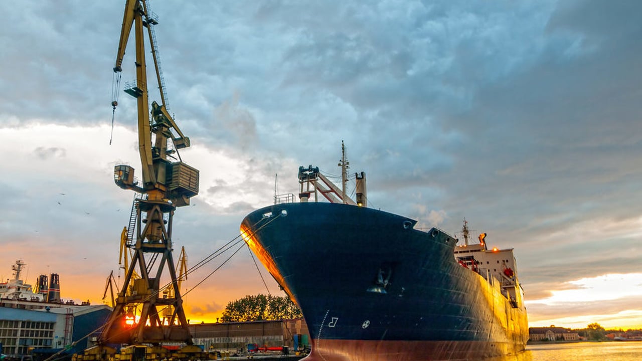 Grain markets nervous after Egypt rejects another wheat cargo