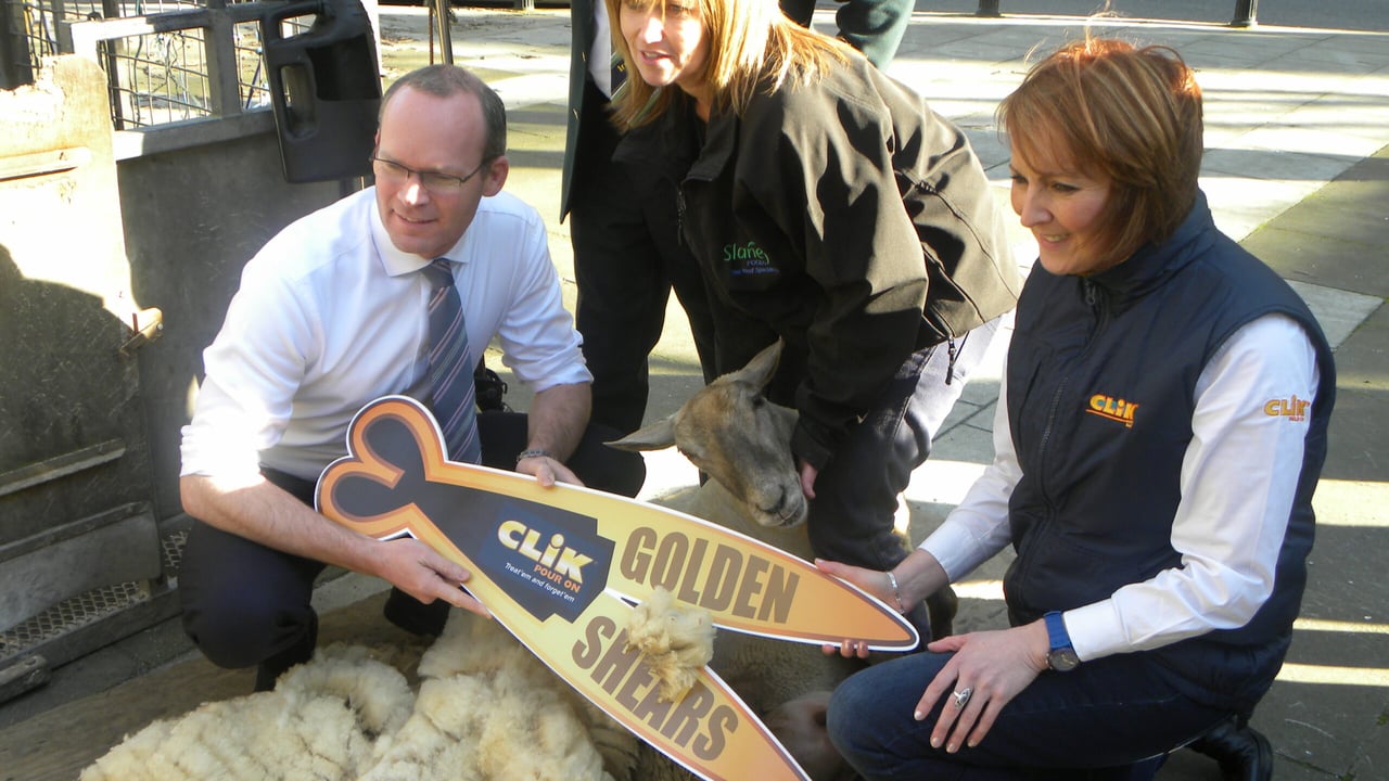 Launch of the 16th World Sheep Shearing & Wool Handling Championships 2014