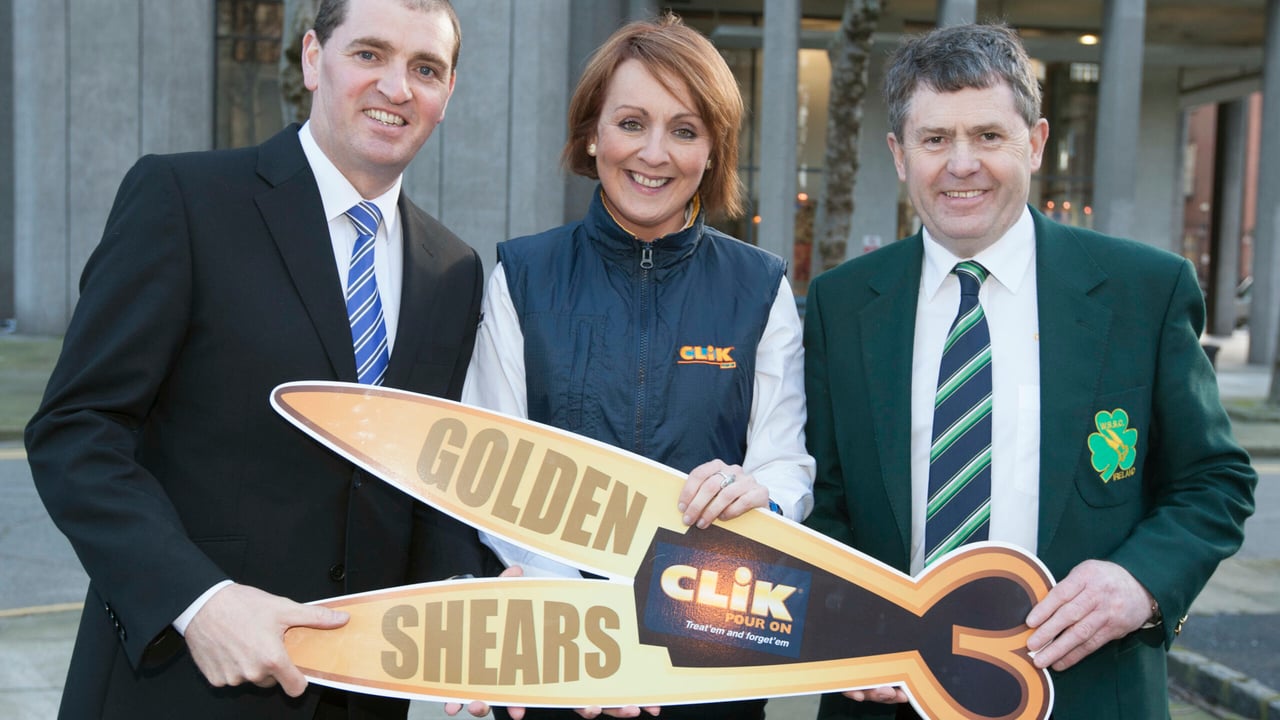 Golden Shears competitions underway