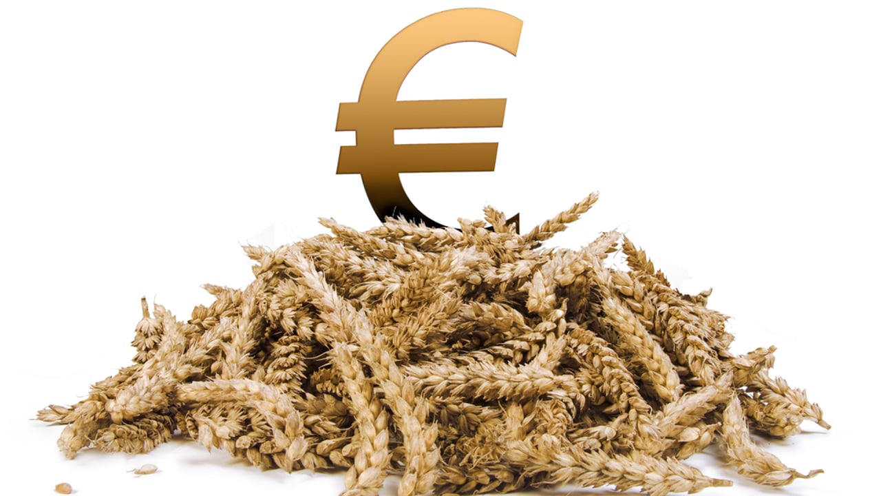 Farm income and farm household income two different things – Minister