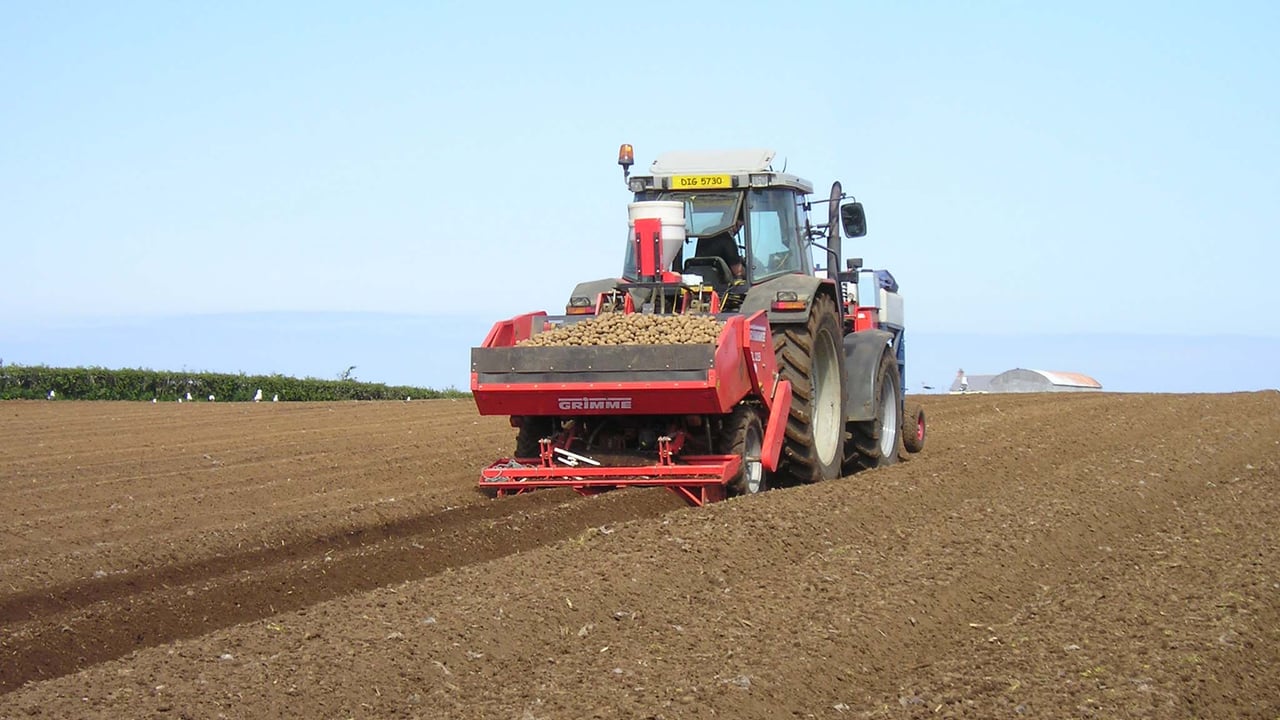 Over a 10% drop in area of land under potatoes last year