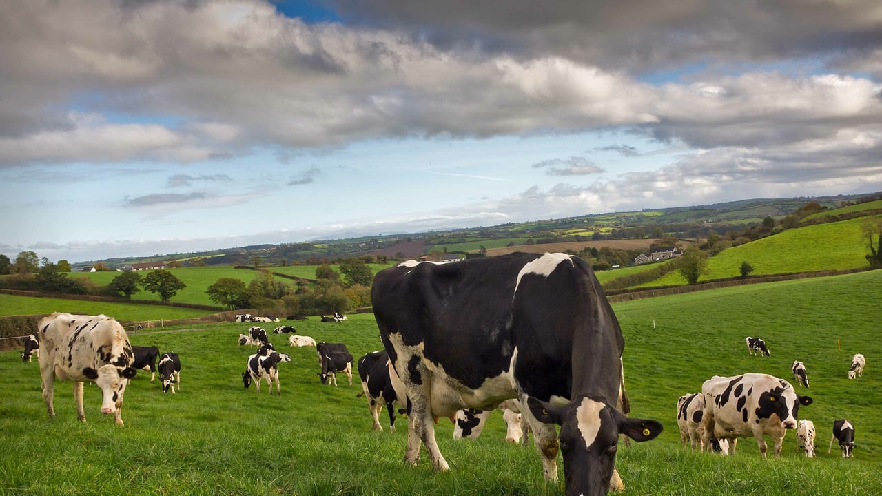 Beware of grass tetany risks over the coming weeks