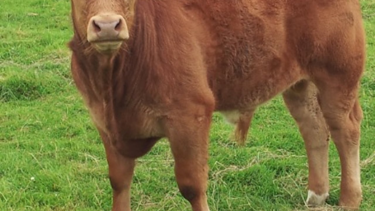 Three quarters of the way to Food Harvest 2020 targets, according to Minister