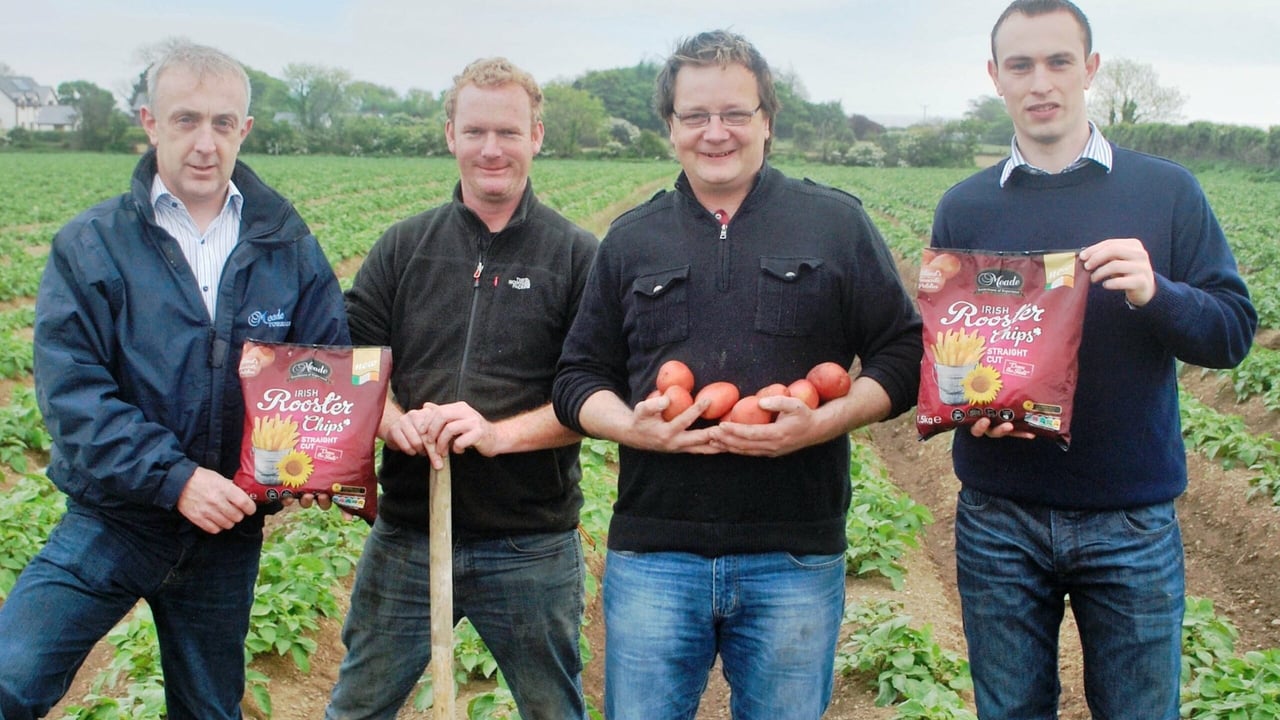 Pictured left to right, Meade General Manager Robert Devlin, grower Raymond Collier, Meade Farm Manager Conor O’Malley and Meade Commercial Director Philip Meade Jr. 
