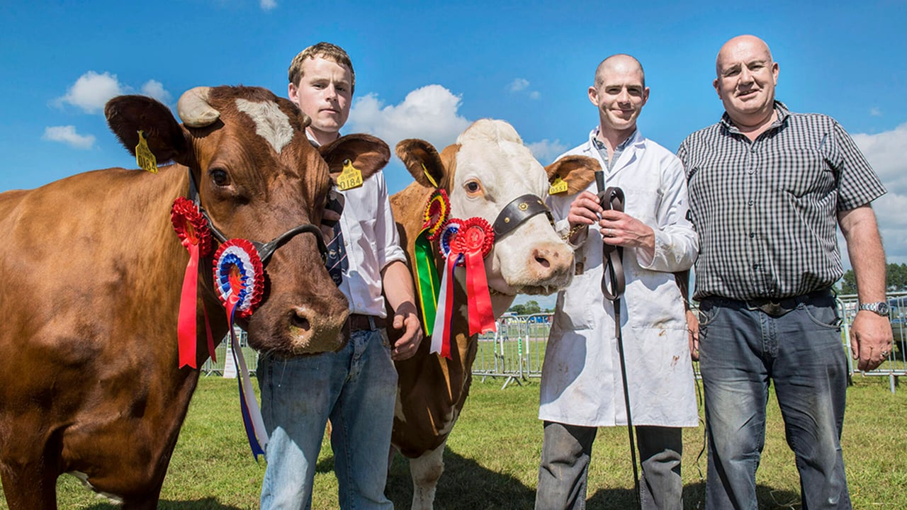 Champion dairy Shorthorn & dairy interbreed champion ‘Ransboro Sabina’ with Steven Carter, Clonakenny, Roscrea, Co Tipperary & the champion Simmental & beef interbreed champion ‘Corbally Vintage Katie’ with James Brown, Glanworth.