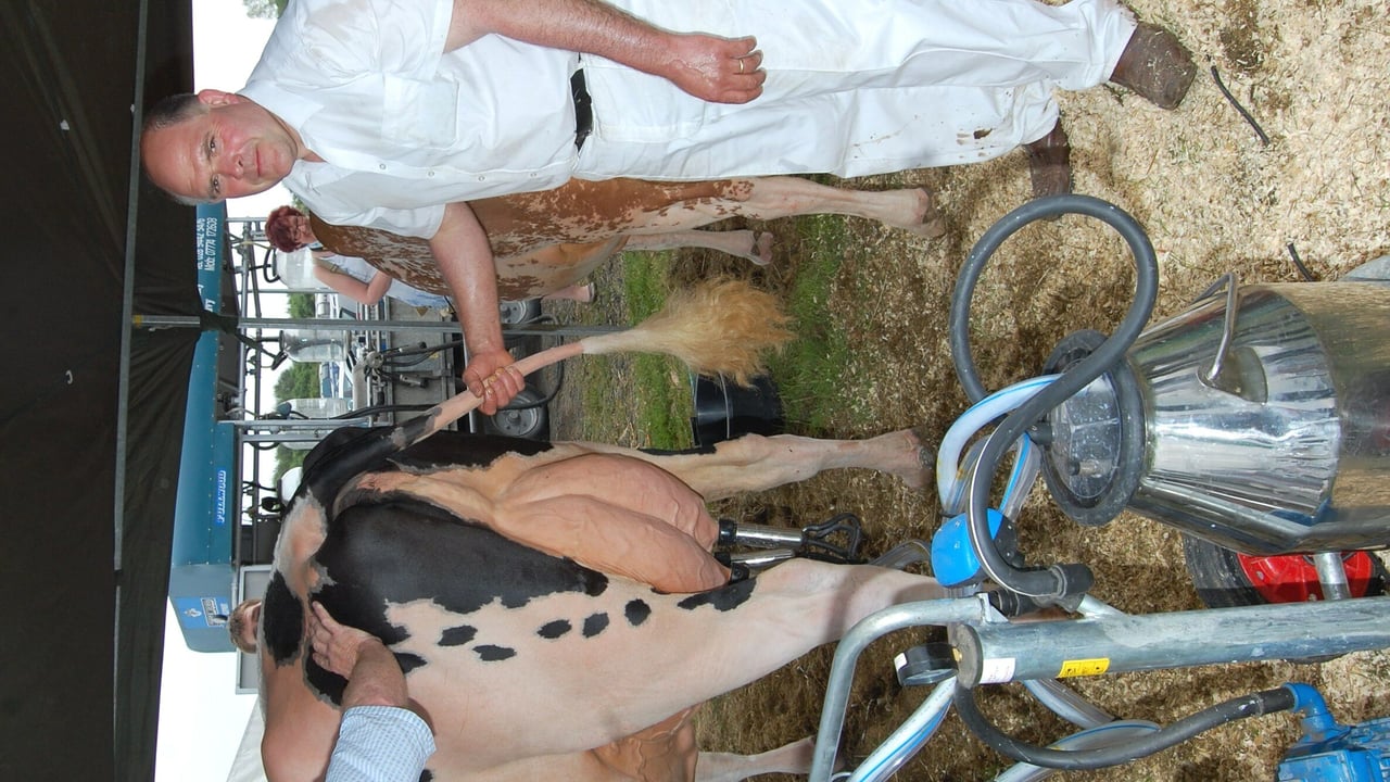Holstein breeder Iain McLean at this year's Fermanagh Show