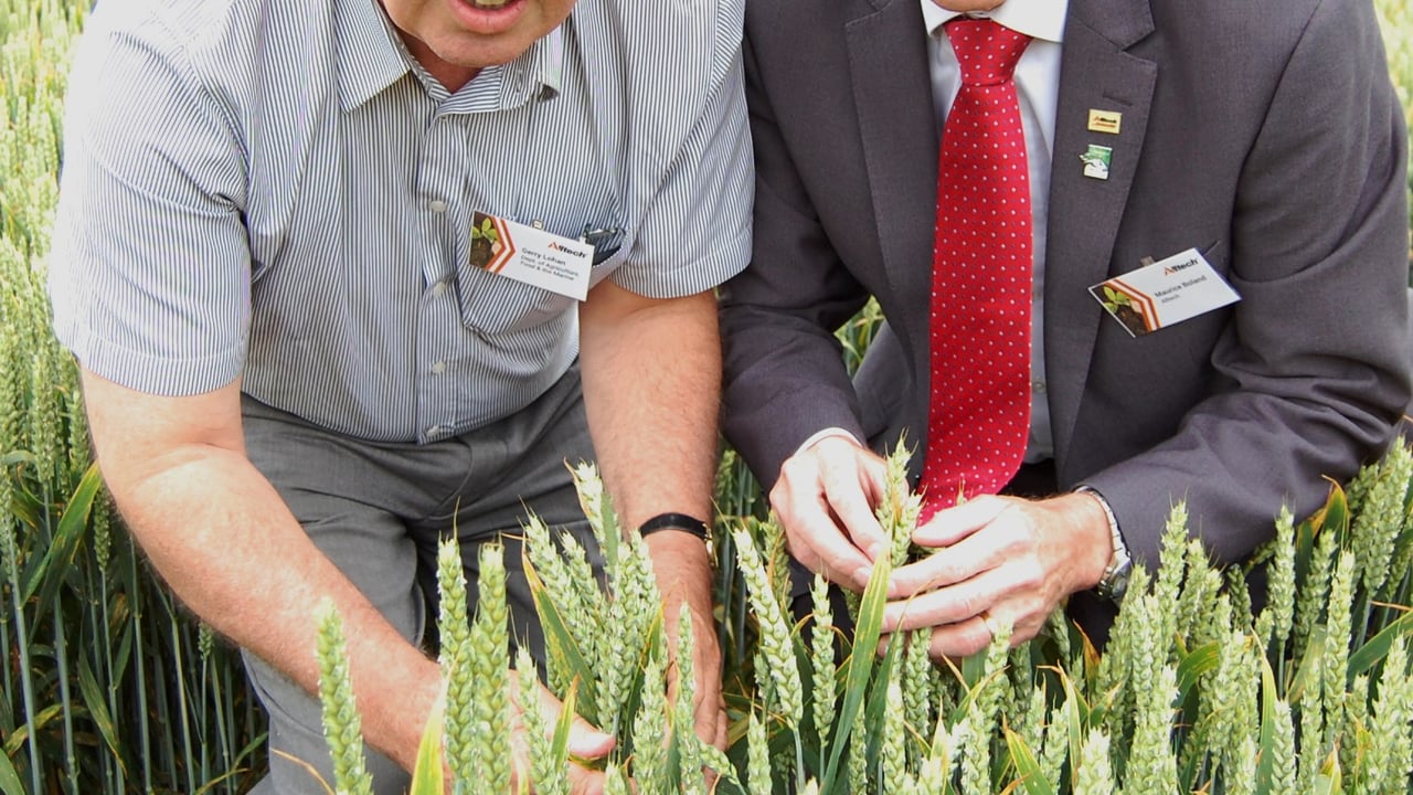 Gerry Lohan, Department of Agriculture Food and the Marine, inspecting the winter wheat trials at Alltech’s new Crops Science Division, Dunboyne with Alltech’s Professor Maurice Boland.  
