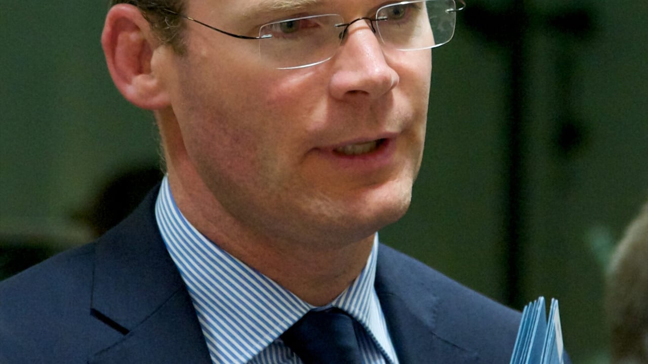 Minister Simon Coveney. Picture: EU
