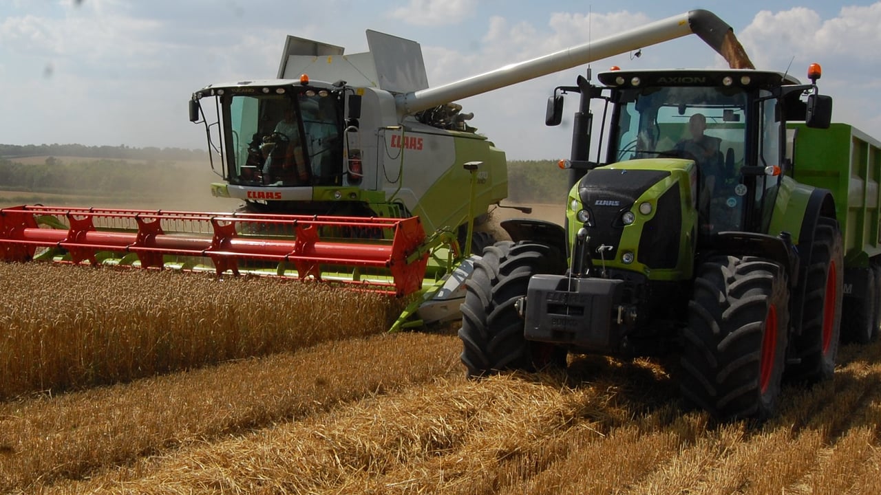 The first of this year’s UK winter wheat crop was harvested yesterday on land farmed by Andrew Tetlow (AET Farm Services) near Cambridge. 