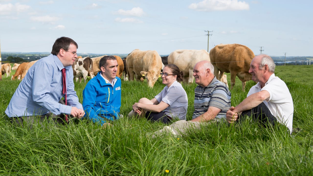 IGA Summer Beef Tour Launch Portlaw June 2014 