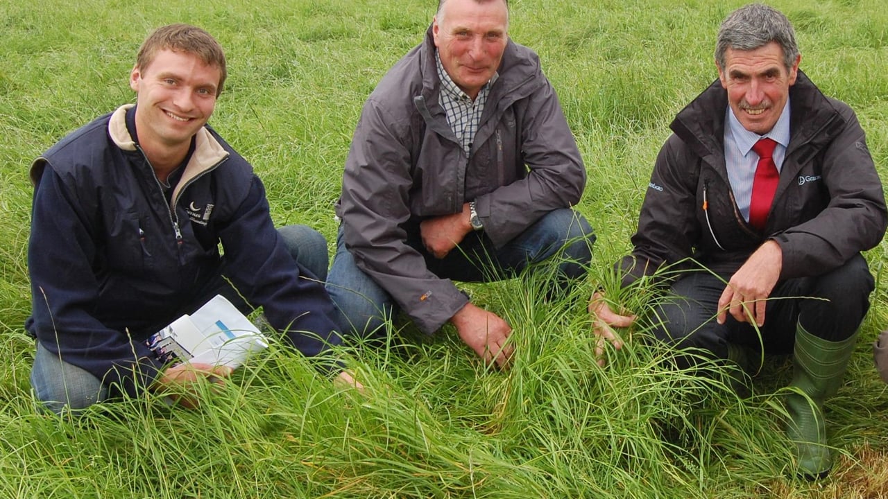 Grassland Agro's Noel McCarey (right) with Mark and James Campbell, from Bushmills in Co Antrim at the recent Open Day hosted by the McCollum family from Coleraine in Co Derry