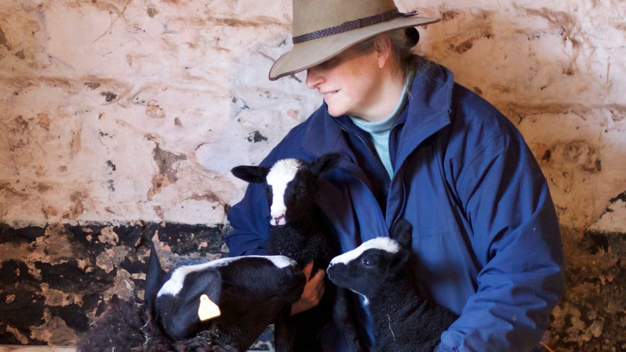 Suzanna Crampton AKA  @ZwartblesIE on Twitter 