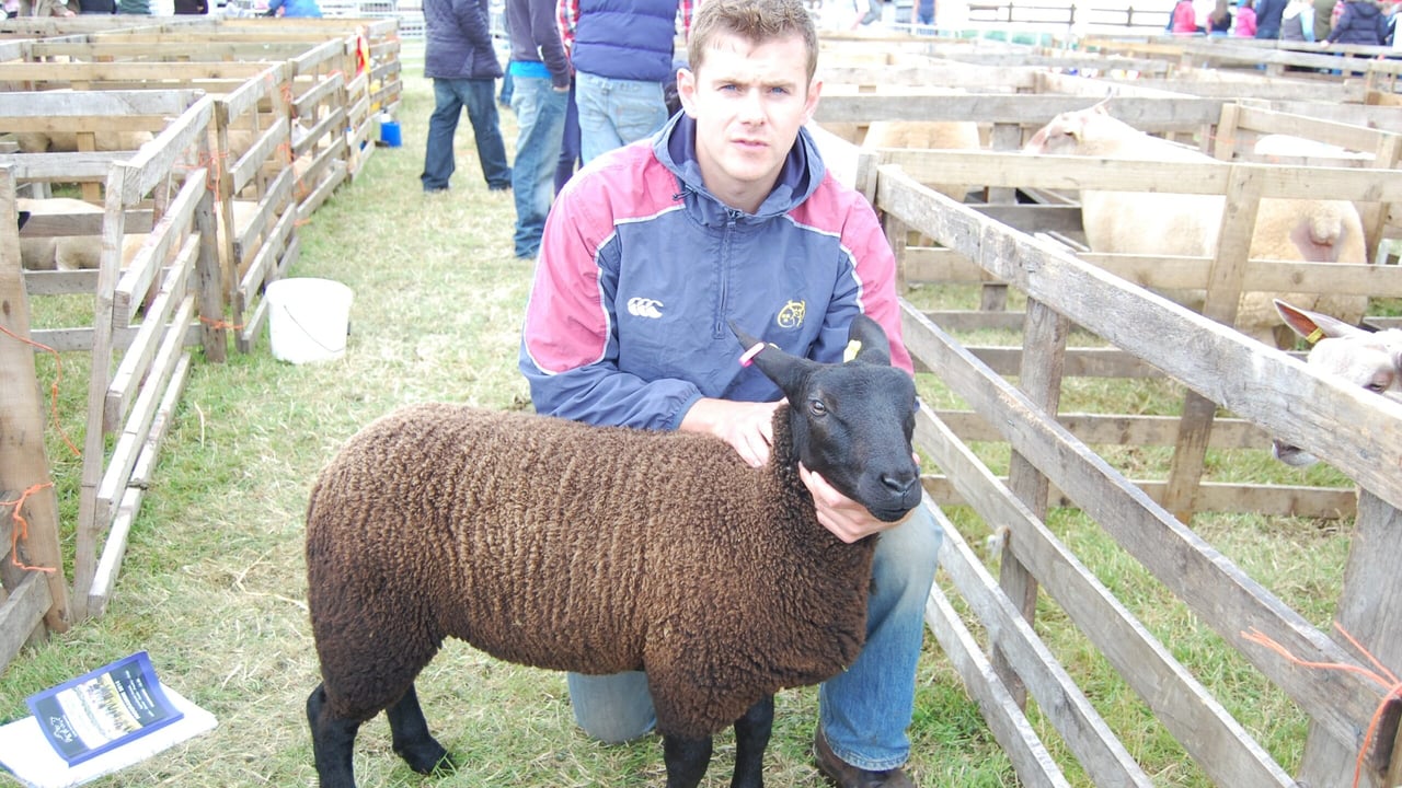 Fermanagh sheep breeder Dean Cashel with a Zwartbles: Texel cross lamb