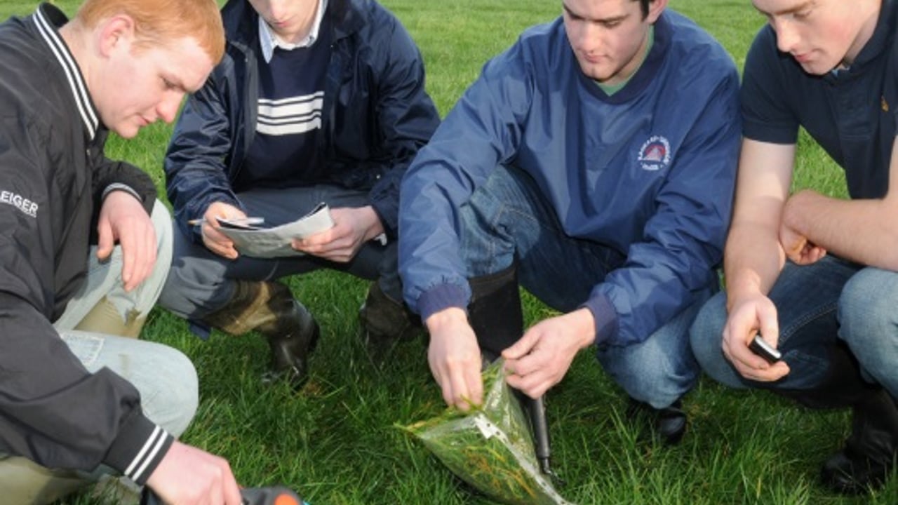 Teagasc