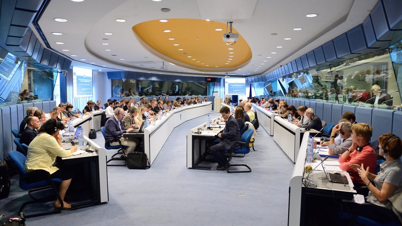 Committee for the Common Organisation of the Agricultural Markets: assessment of the impact of the Russian import ban on different agricultural products