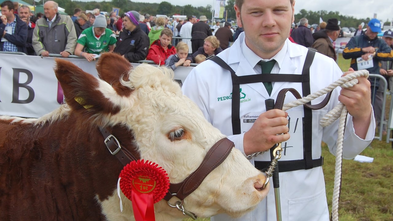 Hugh P Murray, from Kilbeggan with his winning Hereford heifer Newland Val at this year's Tullamore Show