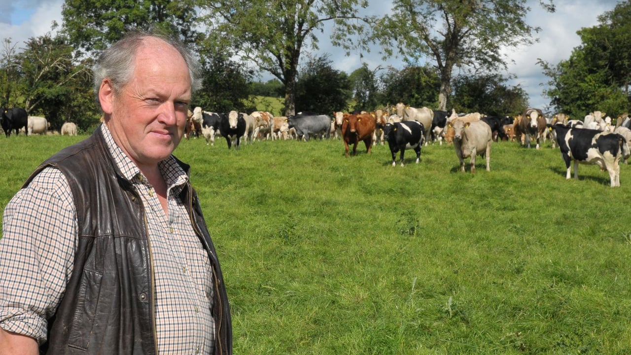 Veterinary practitioner Joe O’Keeffe on his farm at Killucan, Co Westmeath.
