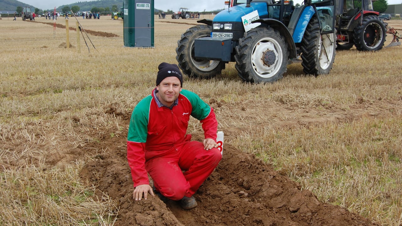 Martin Riley, competing in today's Intermediate Class at the National Ploughing Championships. 