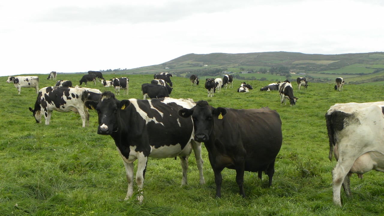 'Milk prices to remain challenging'