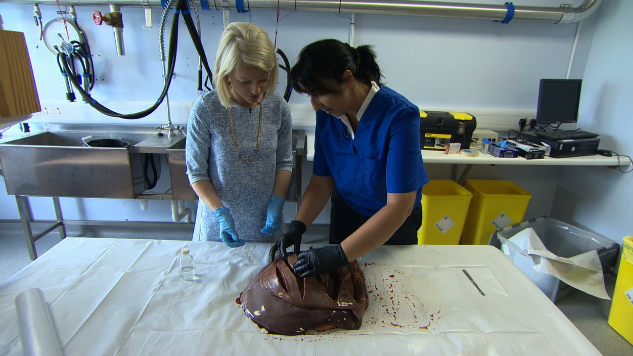 Teagasc liver fluke research to feature on 'The Science Squad'