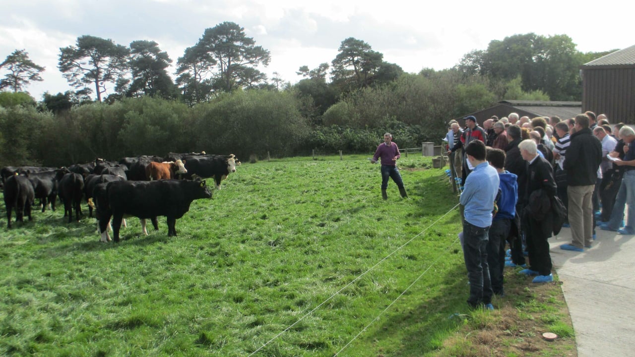 Wexford farm Teagasc event to address key farming issues