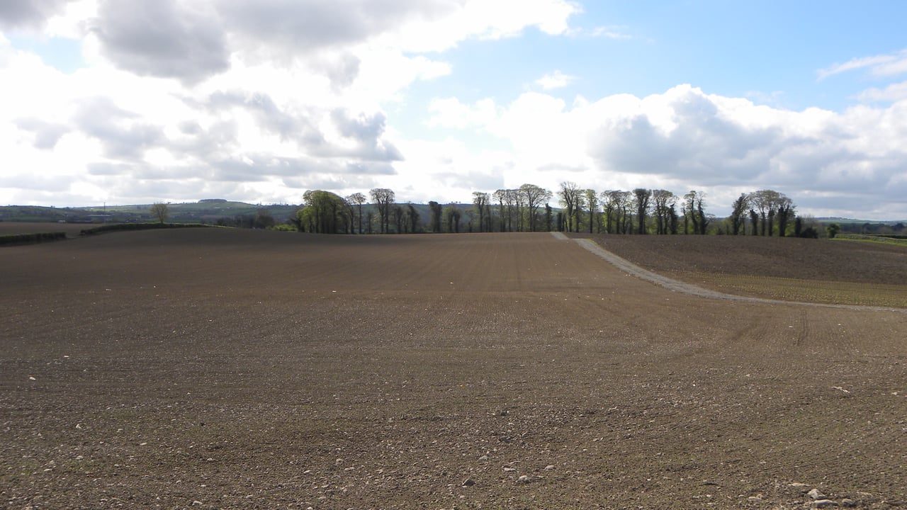 Seed availability forms backdrop to tillage planning