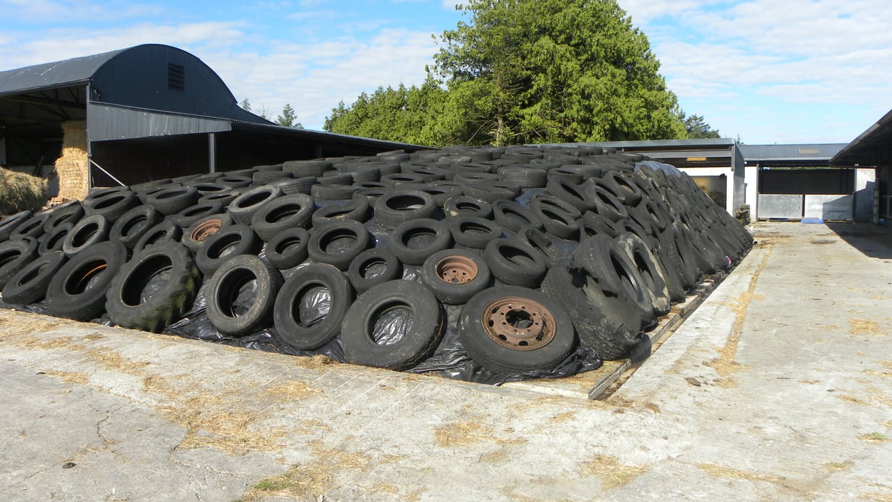 4 ways to boost fodder reserves on your farm for next winter