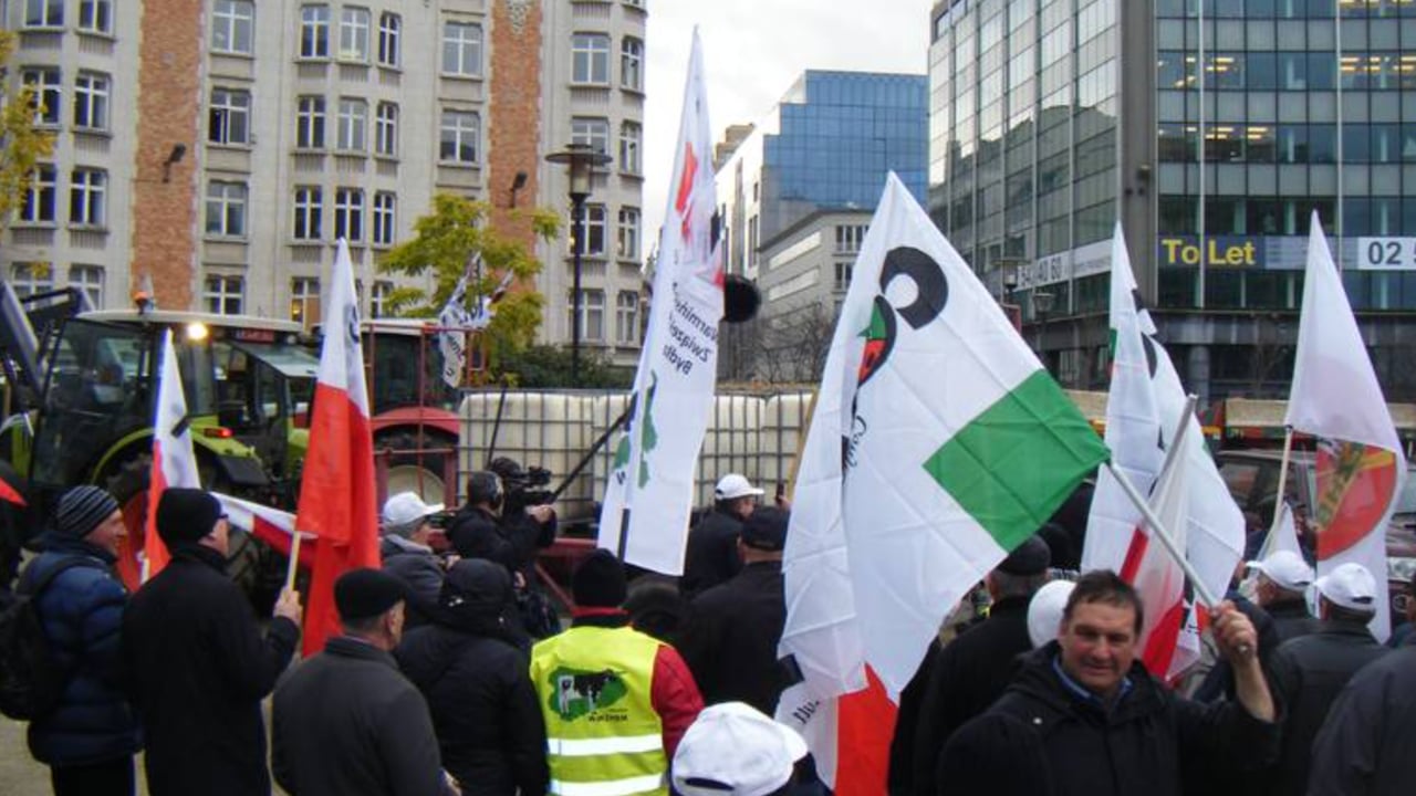 European dairy farmers protesting in Brussels. 