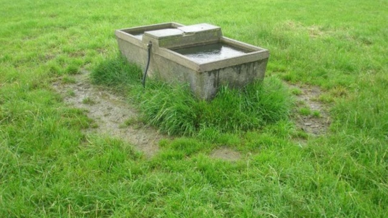 Image: Teagasc