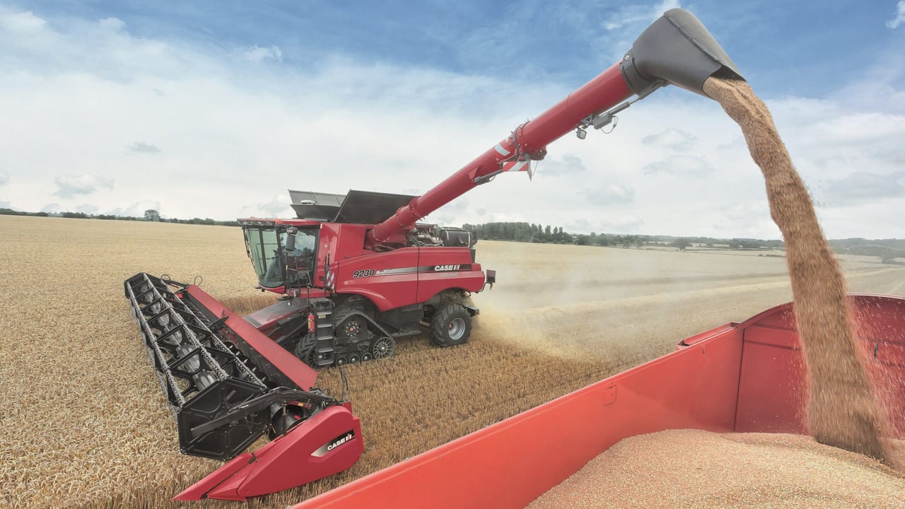 2014 sees highest cereal production since 1985 - Teagasc