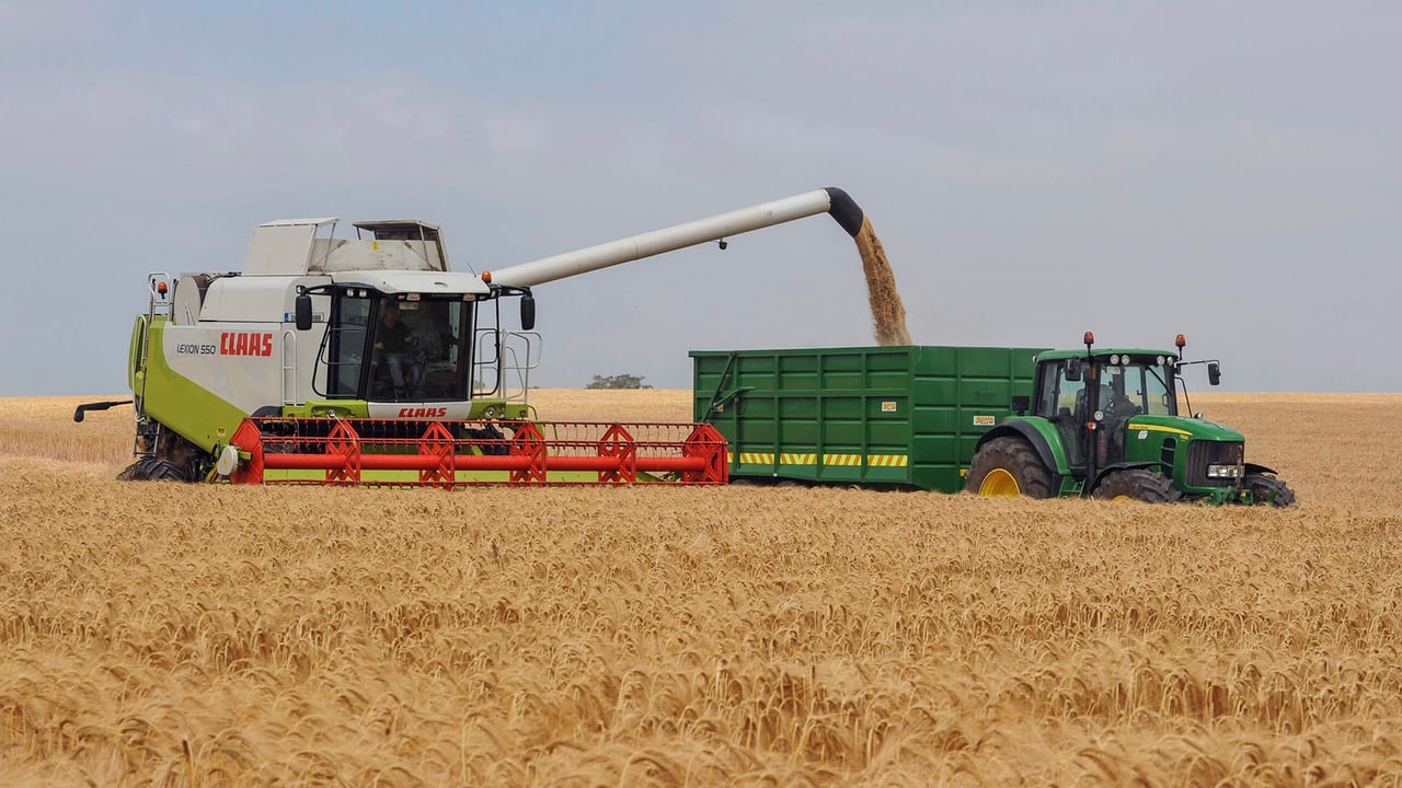 Dairygold finalises cereal prices for 2024 harvest