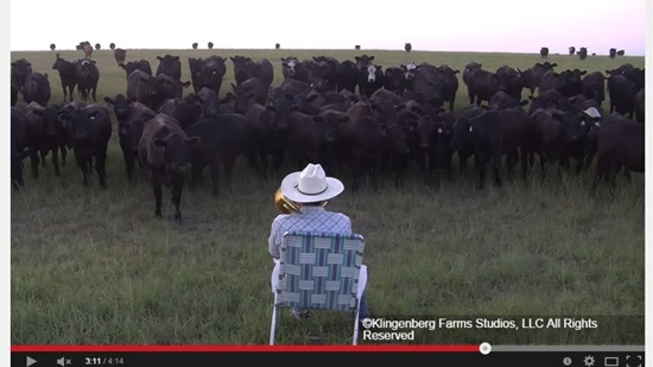 This US farmer has become a YouTube hit