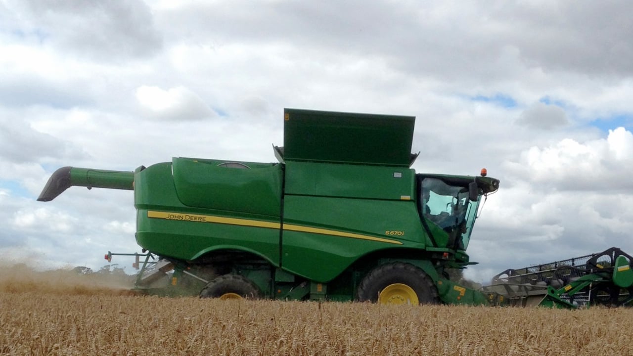'International cereal prices hinge on the smallest of margins'