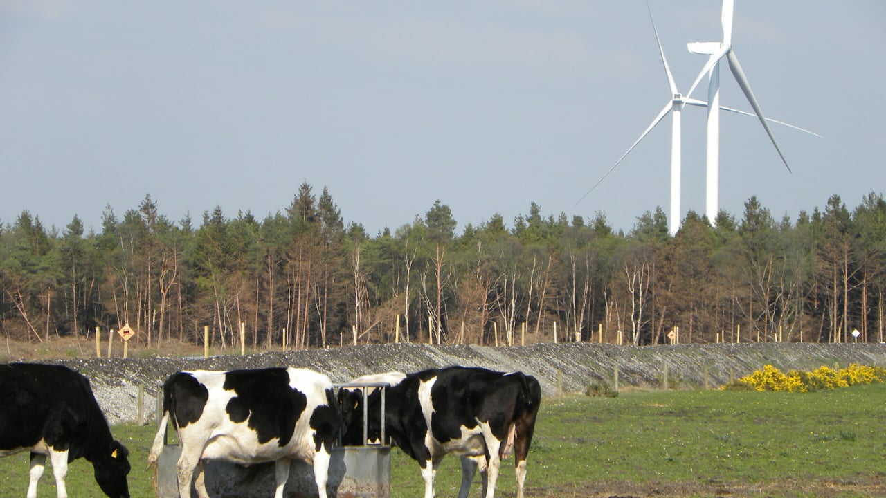 'Resistance to wind turbines is large and growing'