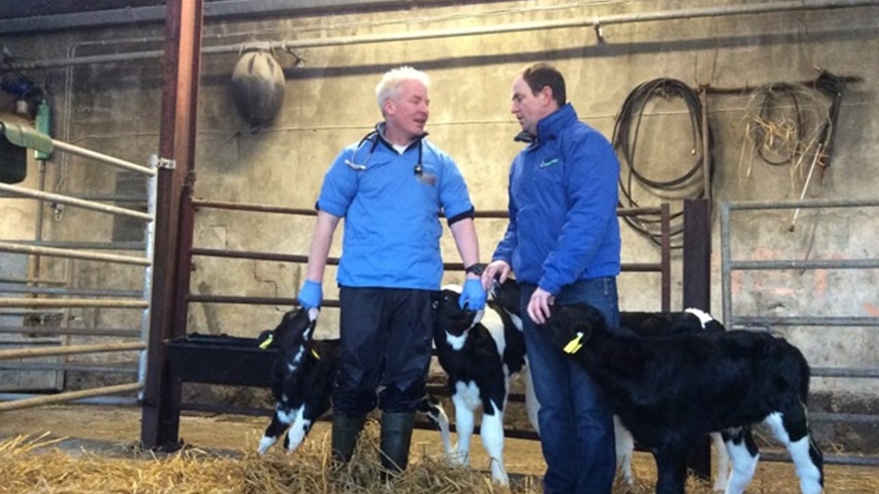 Ciaran Mellett and John Smith with some of John’s calves in the improved calf house