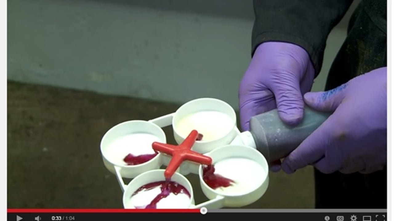 The CMT test identifies subclinical mastitis in cows 