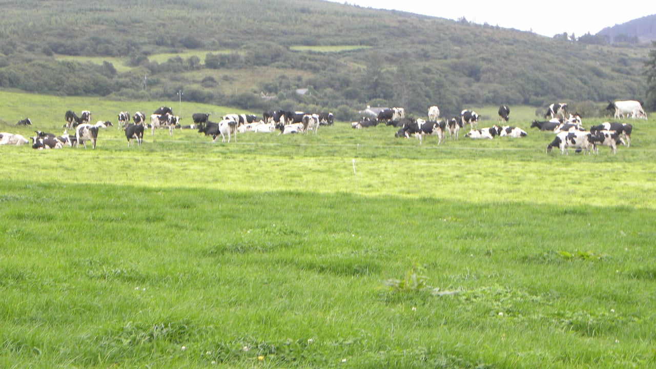 Dairy farmers face €80m superlevy fine