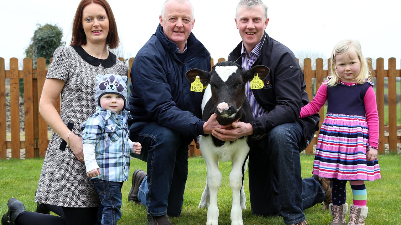 The bull 400EBI calf was bred by Eoghan and Sinead with Niamh and Dylan McCarthy, Milltown, Co. Kerry with Jerome Leen Munster Cattle Breeding Group. Image: Maria Kelly